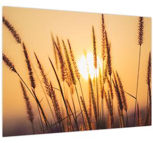 Slika - Trave na suncu (70x50 cm)