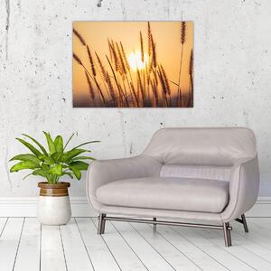 Slika - Trave na suncu (70x50 cm)