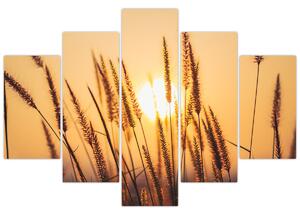 Slika - Trave na suncu (150x105 cm)