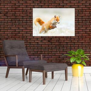 Slika - Lisica koja skače (90x60 cm)