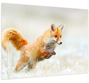 Slika - Lisica koja skače (70x50 cm)