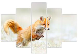 Slika - Lisica koja skače (150x105 cm)