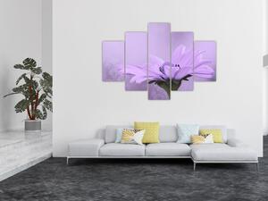 Slika - Ljubičasti cvijet (150x105 cm)