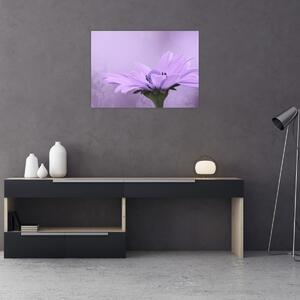 Slika - Ljubičasti cvijet (70x50 cm)