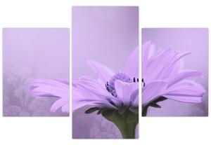 Slika - Ljubičasti cvijet (90x60 cm)