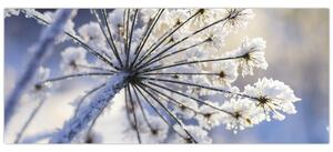 Slika - Smrznuti cvijet (120x50 cm)