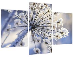 Slika - Smrznuti cvijet (90x60 cm)