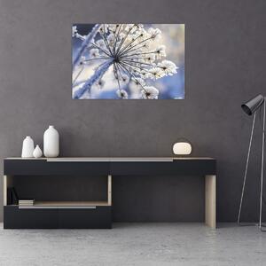 Slika - Smrznuti cvijet (90x60 cm)