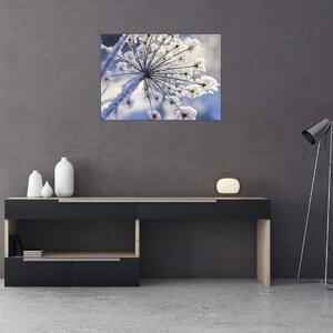 Slika - Smrznuti cvijet (70x50 cm)