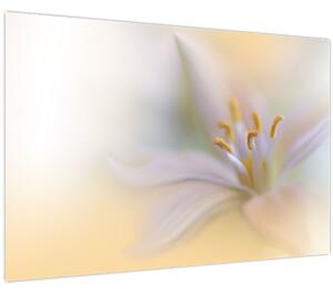 Slika - Nježni cvijet (90x60 cm)