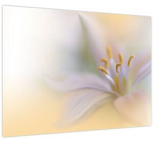 Slika - Nježni cvijet (70x50 cm)