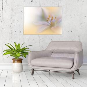 Slika - Nježni cvijet (70x50 cm)