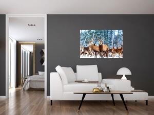 Slika - Krdo jelena (90x60 cm)