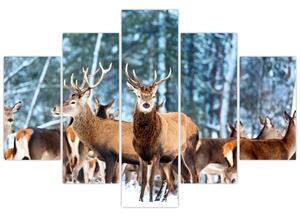 Slika - Krdo jelena (150x105 cm)