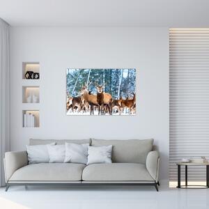 Slika - Krdo jelena (90x60 cm)