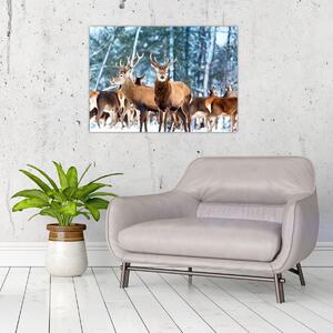 Slika - Krdo jelena (70x50 cm)