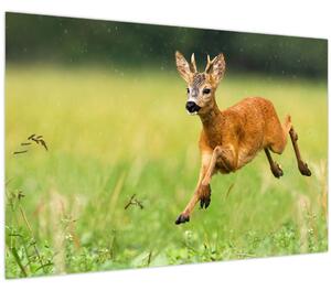 Slika - Bambi (90x60 cm)