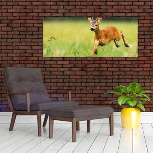 Slika - Bambi (120x50 cm)