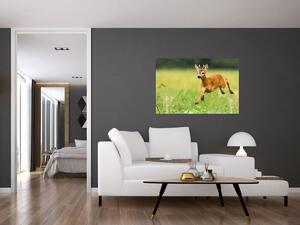 Slika - Bambi (90x60 cm)