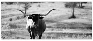 Slika - Krava, crno-bijela (120x50 cm)