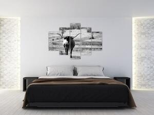 Slika - Krava, crno-bijela (150x105 cm)