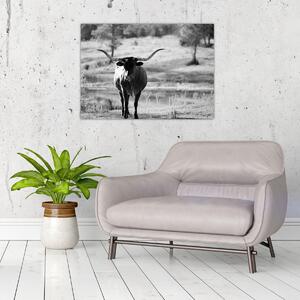 Slika - Krava, crno-bijela (70x50 cm)