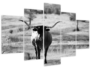 Slika - Krava, crno-bijela (150x105 cm)