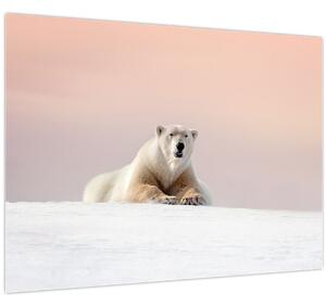 Slika - Polarni medvjed (70x50 cm)