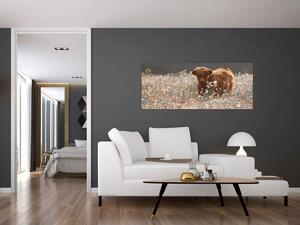 Slika - Škotska krava u cvijeću (120x50 cm)