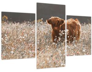 Slika - Škotska krava u cvijeću (90x60 cm)