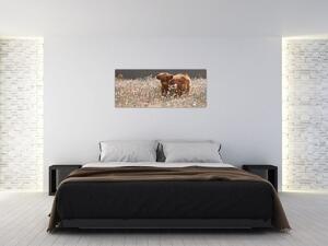 Slika - Škotska krava u cvijeću (120x50 cm)