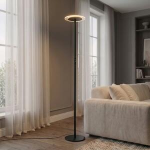 Arcchio LED podna lampa Frile, crna, visina 190 cm, dimabilna, prigušiva, Crno, Dnevni boravak/blagovaonica, Aluminij