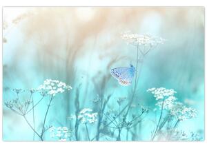 Slika - Leptirić u plavom (90x60 cm)