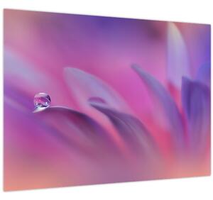 Slika - Kap na cvijetu (70x50 cm)
