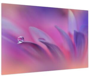 Slika - Kap na cvijetu (90x60 cm)