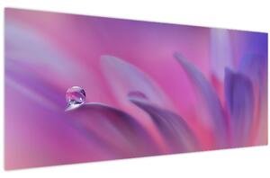 Slika - Kap na cvijetu (120x50 cm)