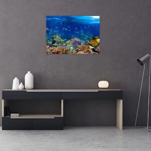 Slika - Ocean (70x50 cm)