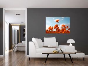 Slika - Livadsko cvijeće (90x60 cm)