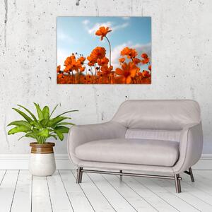 Slika - Livadsko cvijeće (70x50 cm)