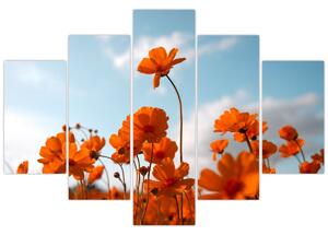 Slika - Livadsko cvijeće (150x105 cm)