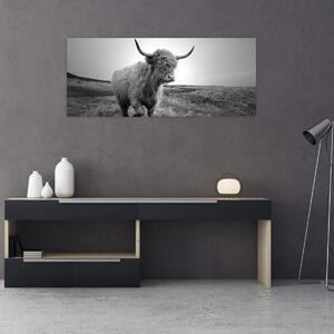 Slika - Škotska krava, crno-bijela (120x50 cm)