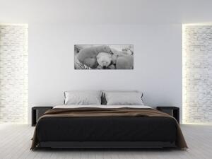 Slika - Polarni medvjedi, crno-bijela (120x50 cm)