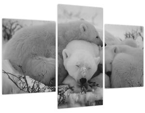Slika - Polarni medvjedi, crno-bijela (90x60 cm)