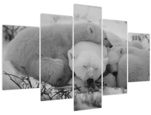 Slika - Polarni medvjedi, crno-bijela (150x105 cm)