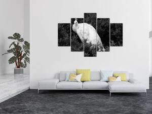 Slika - Paun, crno-bijela (150x105 cm)