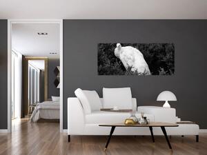 Slika - Paun, crno-bijela (120x50 cm)