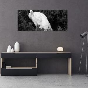 Slika - Paun, crno-bijela (120x50 cm)
