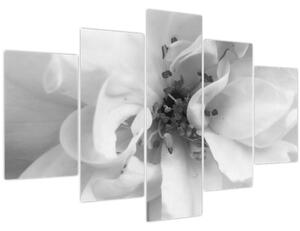 Slika - Cvijet, crno-bijela (150x105 cm)