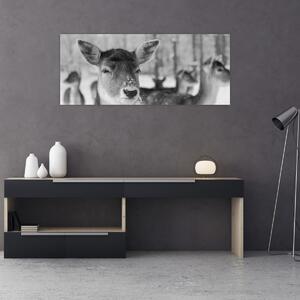 Slika - Bambi, crno-bijela (120x50 cm)