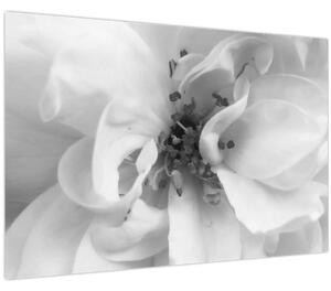 Slika - Cvijet, crno-bijela (90x60 cm)